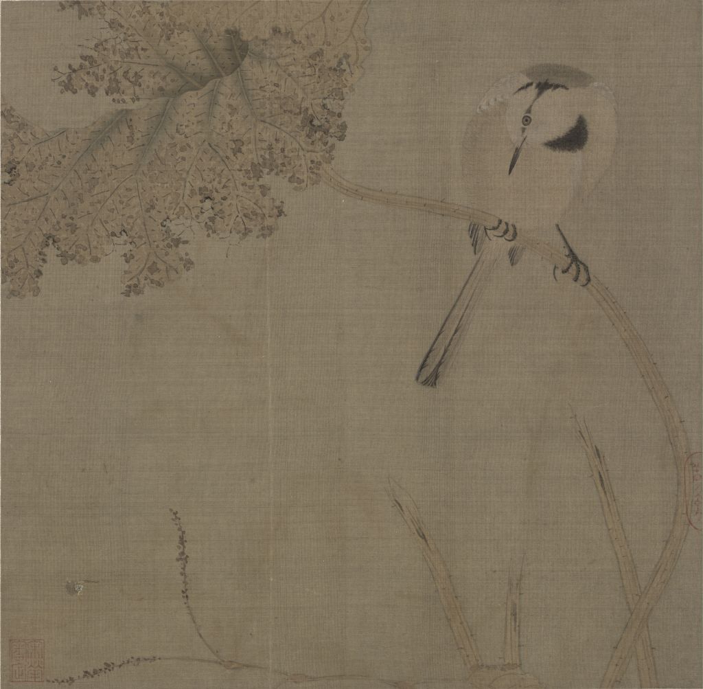 图片[1]-Wagtail lotus leaf picture page-China Archive